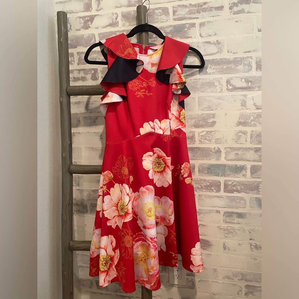 Ted Baker Floral Skater Dress -Size 6